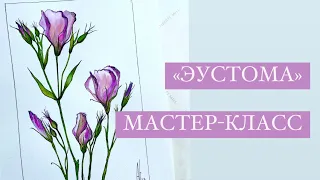 Как нарисовать эустому акварелью, ботаническая иллюстрация «Эустома»