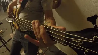 no roots bass cover