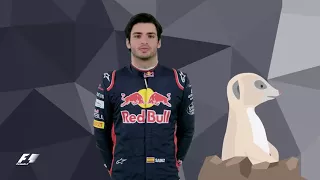 F1 drivers and their favourite animals