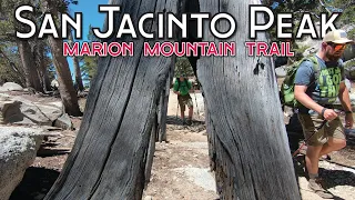 Hiking San Jacinto Peak on the Marion Mountain Trail - July 4th, 2020