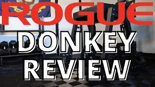 ROGUE DONKEY REVIEW + 7 Ways to Use It | Angelique Clark