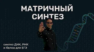 Матричный синтез | синтез ДНК, РНК и белков для ЕГЭ.