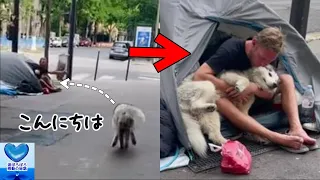 愛犬が散歩中にホームレス男性に駆け寄り愛情を示しました。その純真さに心打たれる【感動】