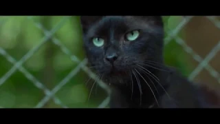WILDHEXE Trailer German Deutsch (2018)