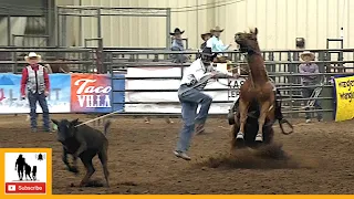 Tie-down Roping - 2023 ABC Pro Rodeo | Saturday Matinee