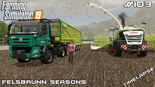 Maize harvest with MrsTheCamPeR | Animals on Felsbrunn Seasons | Farming Simulator 19 | Episode 103