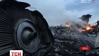 Вашингтон вимагає притягнути винних в катастрофі малайзійського "Боїнга" до відповідальності