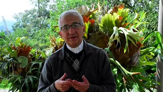 Evangelio de hoy Domingo 20 de Noviembre de 2022 📘 Padre Efraín Arquidiócesis de Manizales