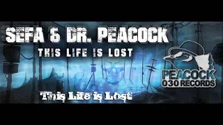 Dr. Peacock & Sefa - This Life is Lost (shorter version)