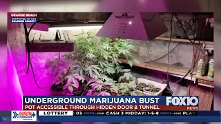 Underground marijuana operation uncovered in Orange Beach