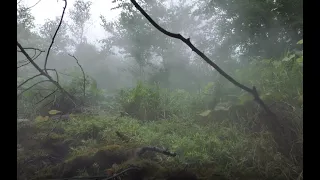 Centralia Mine Fire Still Burning! Steaming Cliffs & Hunting Hot Spots With Thermal Camera 6/25/22