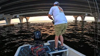Caught my LARGEST fish under a bridge. (Very awkward)