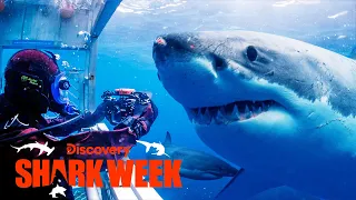 Great White Attacks the Scientists Measuring Him! | Shark Week