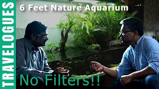 Nature Aquarium Gallery Tour (Part 2) - Still Water Aquatics, Bengaluru, India