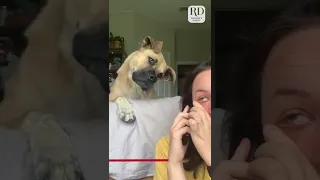 Funny dog gets pranked with his favorite words