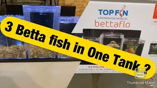 Top Fin BettaFlo Unboxing and Triple Betta Setup