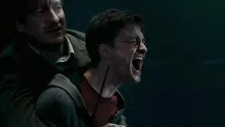 harry's unmuted scream in sirius' death (harry potter and the order of the phoenix)