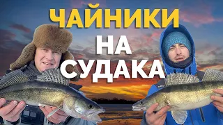 🐧 ОТКРЫТИЕ❗️ Судаки клюют по страшному! Первые 👉 на СОСНАХ 👌