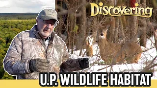 DISCOVERING | Wildlife Habitat Part 1