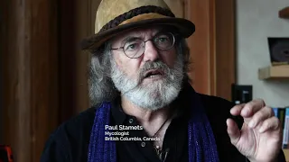 Paul Stamets on Psilocybin for end of life - TheraPsil