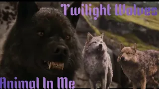 Twilight Wolves - Animal In Me