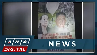 Activists in South Korea release balloons towards North despite escalating tensions | ANC