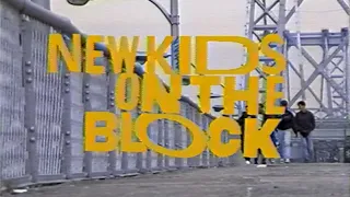 New Kids On The Block, Hanging Tough, 1989 VHS-SP HiFi Stereo.