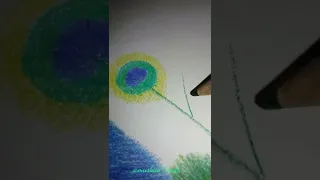 Peacock drawing with colour pencil || arts #shorts