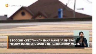 В России ужесточили наказание за выброс мусора из автомобиля в неположенном месте