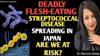 JAPAN'S FLESH-EATING  DISEASE OUTBREAK.ARE WE NEXT ?