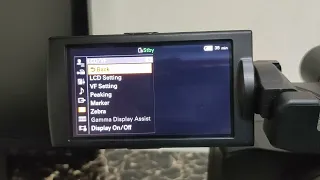 Sony PXW  Z 190  menu settings 2022
