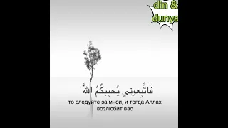 Священный Коран | Сура Аль Имран 31-ый аят | чтец: шейх Мансур ас-Салими