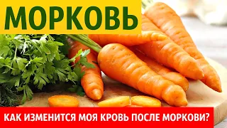 Как МОРКОВЬ влияет на кровь человека