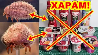 ХАРАМНЫЕ ПРОДУКТЫ! ЭТИ ЙОГУРТЫ ХАРАМ! Смотреть ВСЕМ Мусульманам!