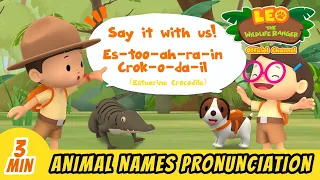 Animal Pronunciation | What do you call that animal!? | Leo the Wildlife Ranger Season 1