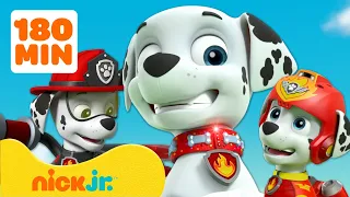 Patrulha Canina | 3 Horas dos Melhores Momentos de Marshall! | Nick Jr. em Português