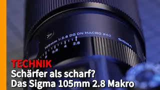 Schärfer als scharf - Das neue Sigma 105mm 2.8 Makro 📷 Krolop&Gerst