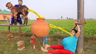 Top New Comedy Video Amazing Funny Video 😂Try To Not Laugh Episode 247 By BusyFunLtd