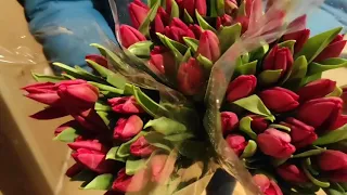 Тюльпаны от 27 руб Москва опт и розница