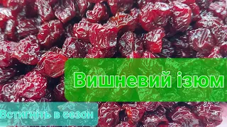 Як зробити цукати з вишні роздзинки, вишневый изюм как сделать, вялена вишня для начинок - встигніть