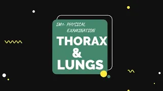 Thorax & Lungs : Physical examination