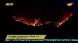 Лесные пожары вплотную подступили к селам в Боржомском ущелье