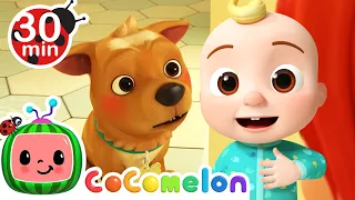 My Dog Song - Bingo | CoComelon Furry Friends | Animals for Kids