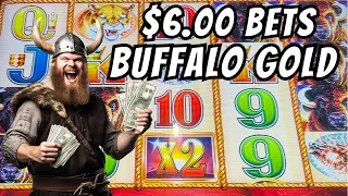 Wow $6 Bets On Buffalo Gold Slot Machine  #2023 #4k