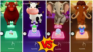 Funny Ferdinand🆚Funny Cow🆚Funny Elephant🆚Funny Mammoth💫Lets See Who Is Best?🎶👍#coffindance