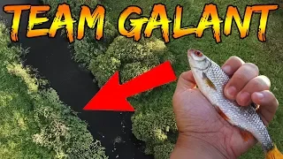 HOW TO FISH ROACH | Team Galant