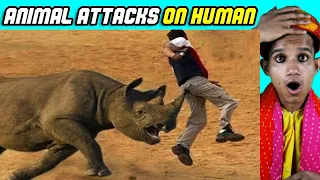 Villagers React To Animal Attack On Human ! Tribal People React To UNEXPECTED Animal ATTACKS
