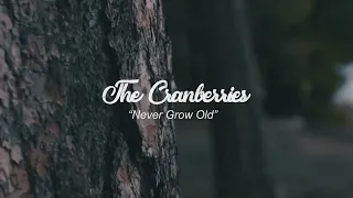 The Cranberries Never Grow old - Lyrics