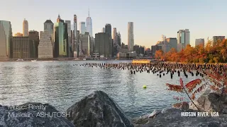 Brooklyn Bridge Park. Manhattan View