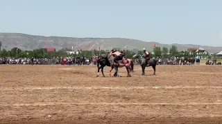 Эр эниш Жалал-Абад женишке жетти